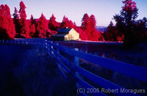 Color Infrared -  Woodside Barn 2 